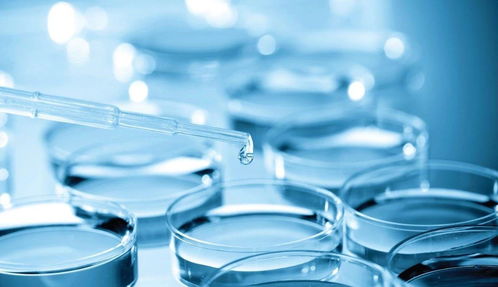 专利变现还是技术突围？热景生物科创板IVD首秀背后的市场考验